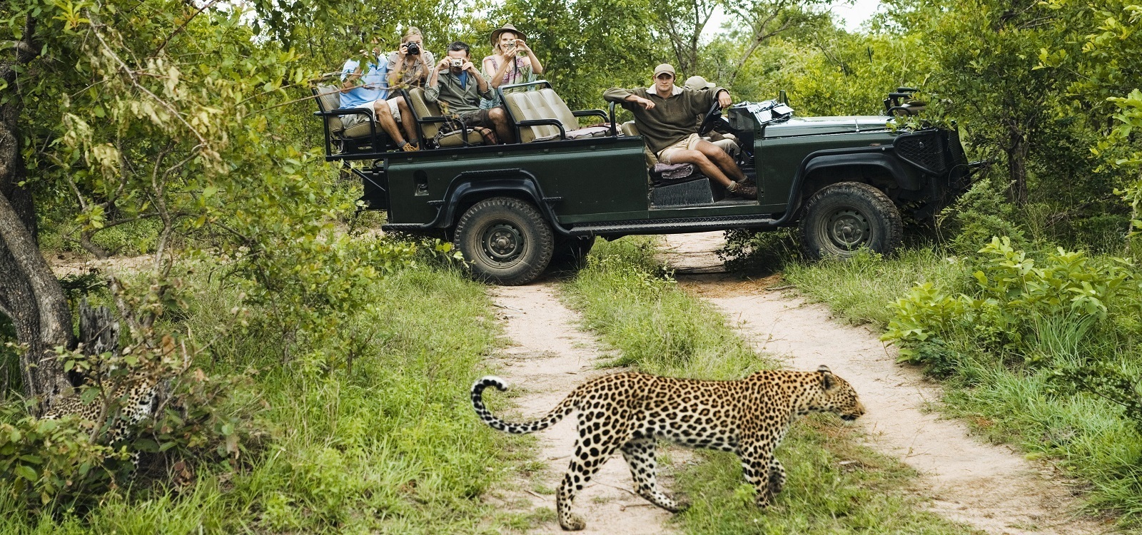 african safari adventure