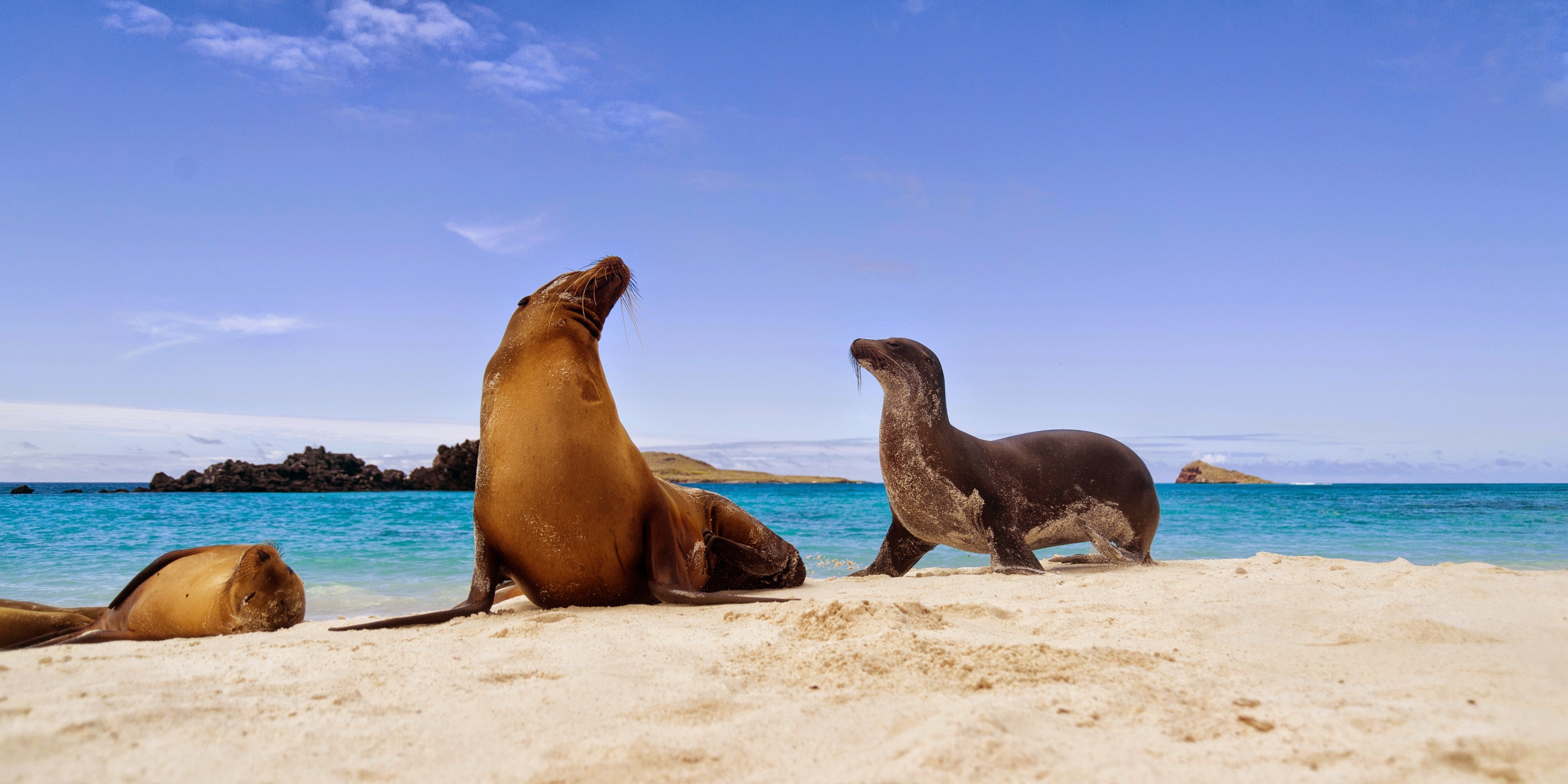 tours to galapagos from guayaquil