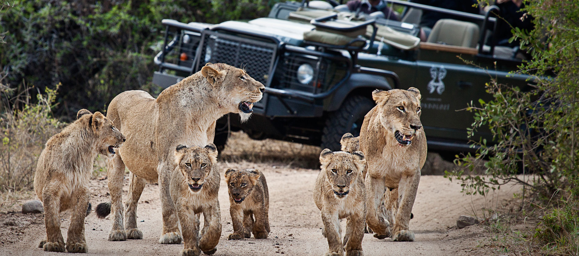 best safari parks africa