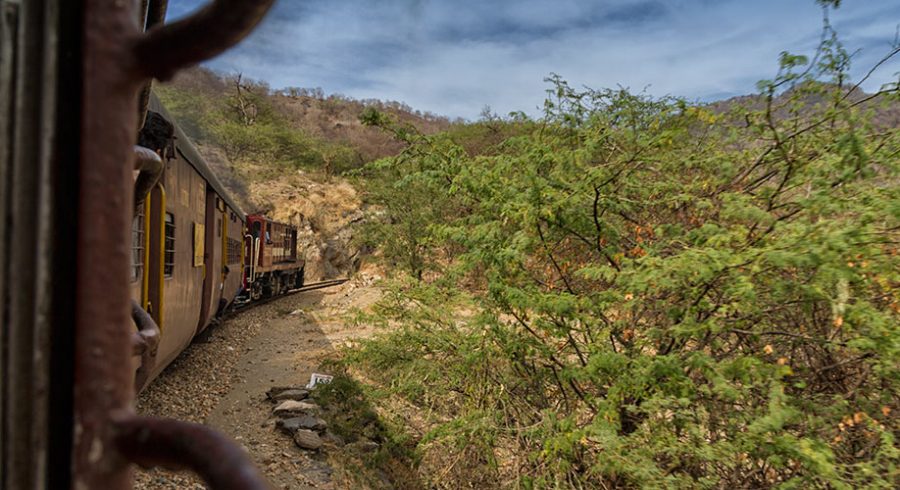 Anna Hopfinger: Über das dörfliche Indien und wie spannend eine einfache Zugfahrt sein kann