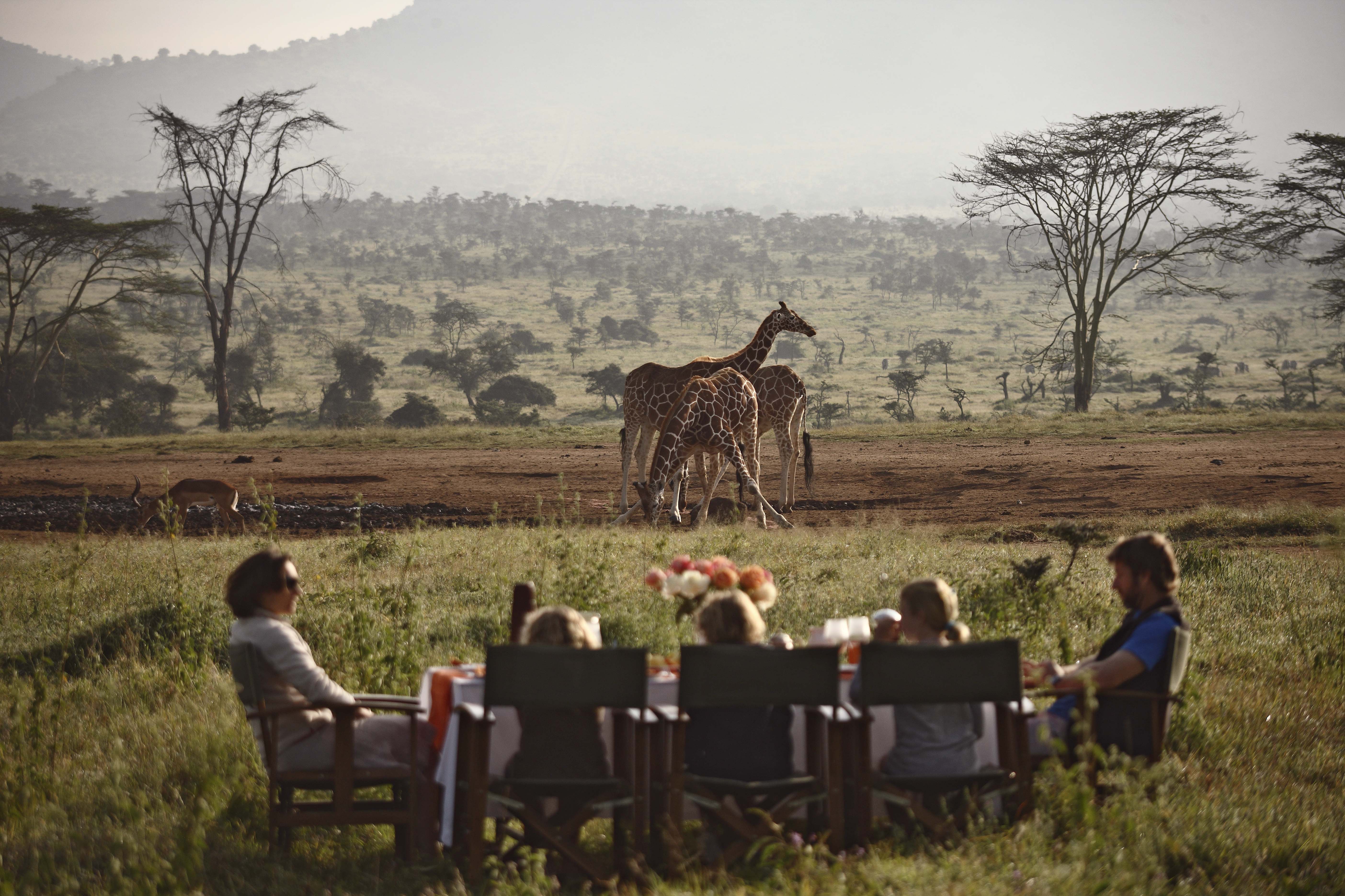 tanzania or kenya for safari
