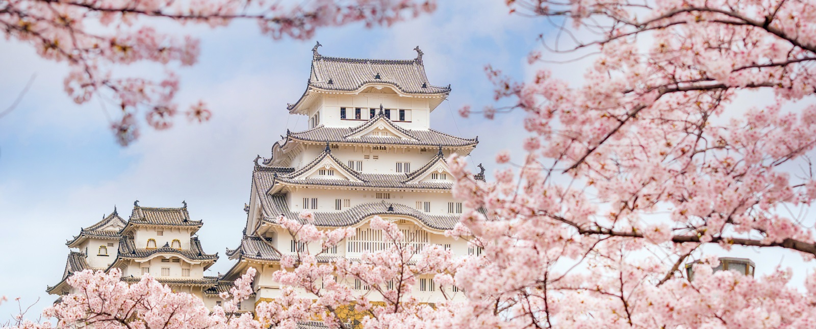 Cherry Blossom Festival In Japan When And Where Go,How To Update Your House On Zillow