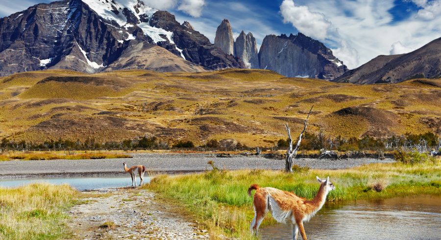 The Top Eco-Lodges in Patagonia